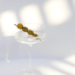 Vesper Martini